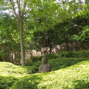 Buddha in Japanischer Garten Kaiserslautern